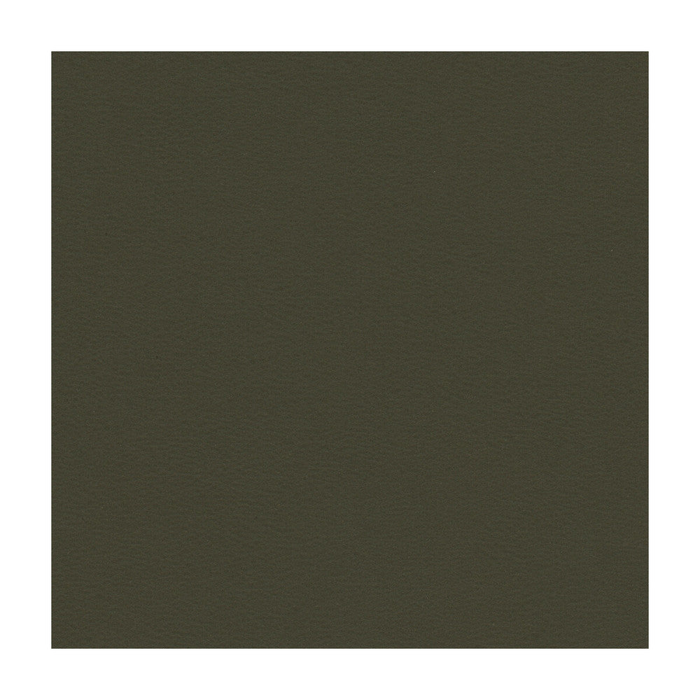 Newt-21 by Kravet Smart Designer Fabric PVC - ARTIFICIAL LEATHER - 100% Taiwan HEAVY Horizontal: and Vertical: 54 - Swanky Fabrics -