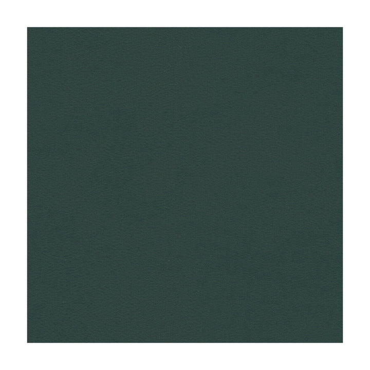 Newt-5 by Kravet Smart Fabric - PVC - ARTIFICIAL LEATHER - 100% Taiwan HEAVY Horizontal: - and Vertical: - 54 - Fabric Carolina -