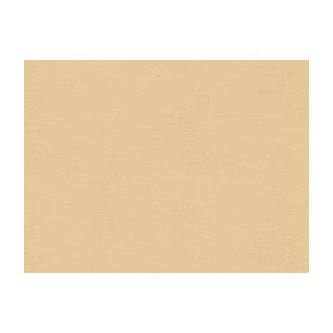 Windsor Oyster by Lee Jofa Fabric