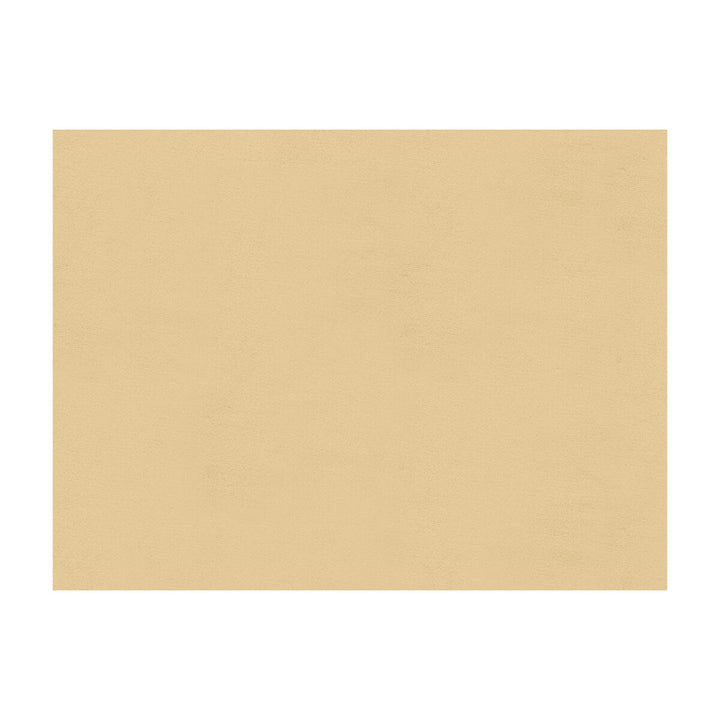 Windsor Oyster by Lee Jofa Fabric SILK - 100% Italy Horizontal: and Vertical: 55 - Fabric Carolina -