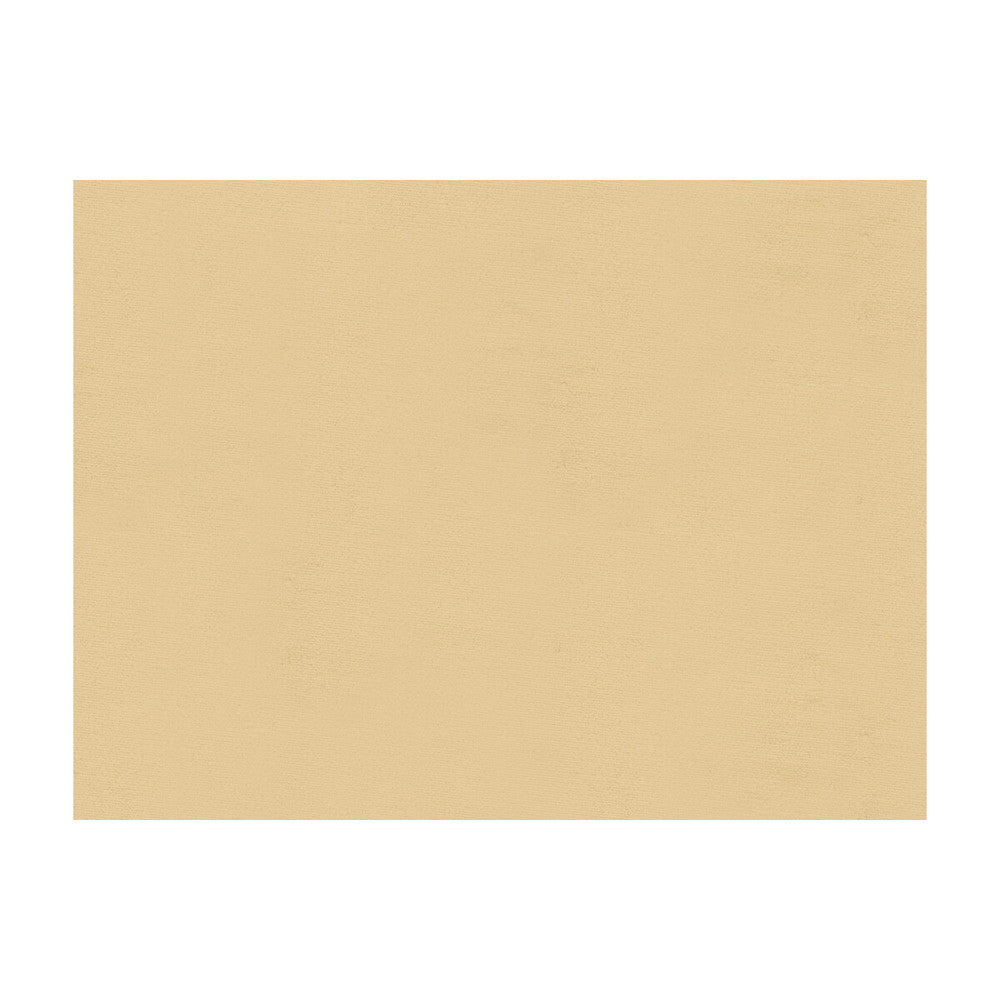 Windsor Oyster by Lee Jofa Fabric - SILK - 100% Italy - Horizontal: - and Vertical: - 55 - Fabric Carolina -