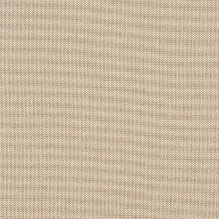 Niagara 70J7031 by JF Crypton Fabric Crypton Binder 100% Polyester China 50000 Horizontal: and Vertical: 54 - Fabric Carolina -