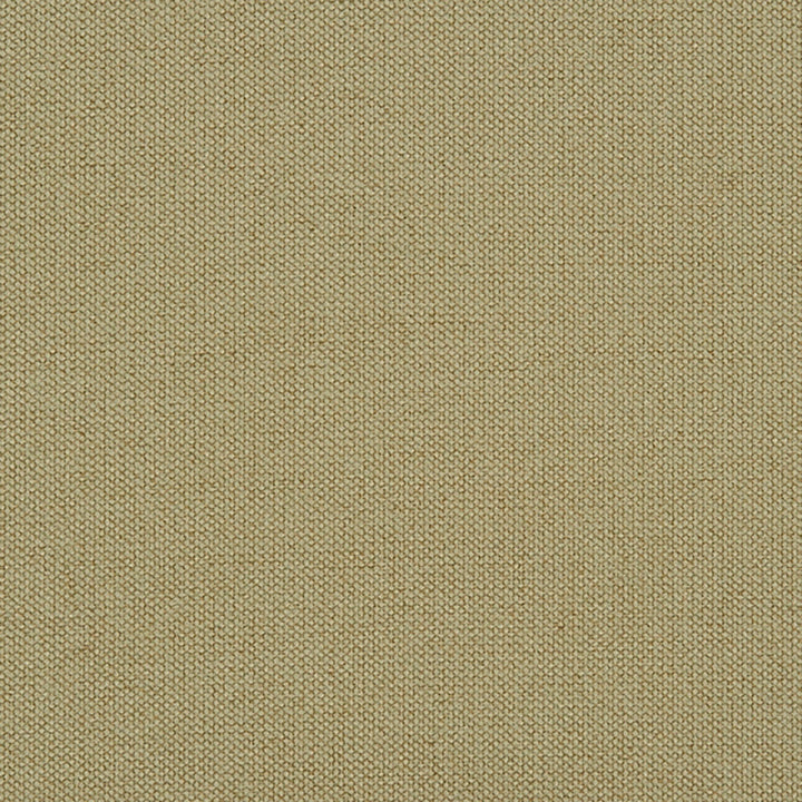 Niagara 74J7031 by JF Crypton Fabric Crypton Binder 100% Polyester China 50000 Horizontal: and Vertical: 54 - Fabric Carolina -