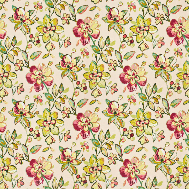 Nidus 1 Blossom by Stout Fabric Stout Fabric Nidus 1 BlossomFabric RAINBOW LIBRARY BLUSH/SORBET INDIA </p><p>Repeat: H: 27.000, V: 27.000 54 in - Fabric Carolina -