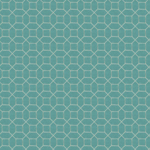 Nilan 1 Turquoise by Stout Fabric