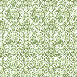 Nipomo 1 Fern by Stout Fabric