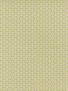 Scalamandre Fabric Cross Channel Spring Green