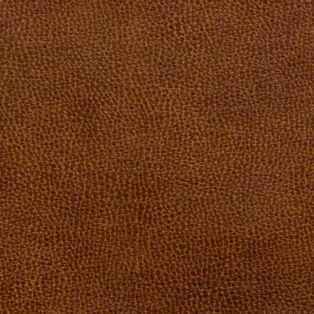 Noseda 5 Saddle by Stout Fabric Stout Fabric Noseda 5 SaddleFabric LEATHER LOOKS III PERFORMANCE CHINA </p><p>Repeat: H: 13.500, V: 13.500 57 in - Fabric Carolina -