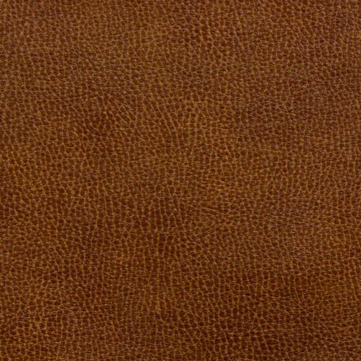 Noseda 5 Saddle by Stout Fabric Stout Fabric Noseda 5 SaddleFabric LEATHER LOOKS III PERFORMANCE CHINA </p><p>Repeat: H: 13.500, V: 13.500 57 in - Fabric Carolina -