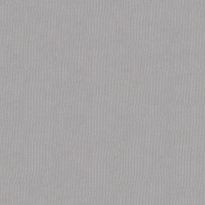 No-see-um Net.54" 9 Char.Grey by ABBEYSHEA Fabric