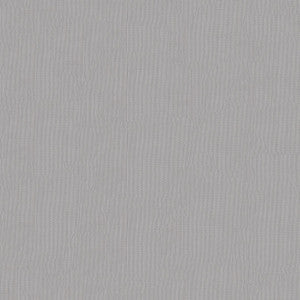 No-see-um Net.54" 9 Char.Grey by ABBEYSHEA Fabric