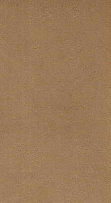 Novasuede-1166 by Kravet Design Fabric - NYLON - 100% Japan HEAVY Horizontal: 0 and Vertical: 0 53 - Fabric Carolina -