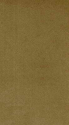 Novasuede-404 by Kravet Design Fabric - NYLON - 100% Japan HEAVY Horizontal: 0 and Vertical: 0 53 - Fabric Carolina -