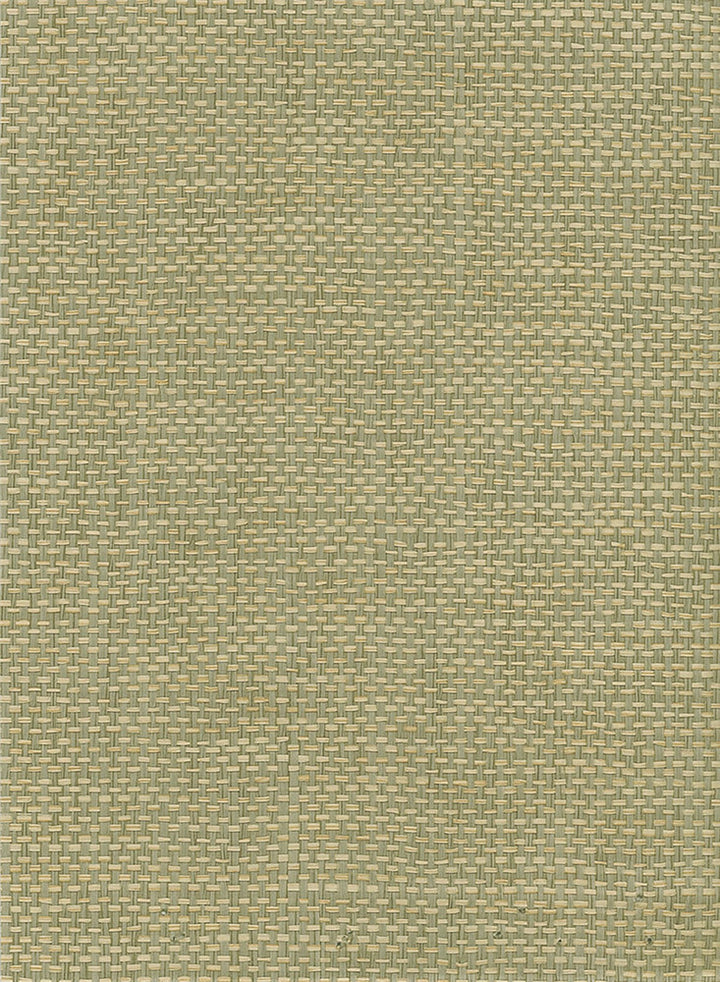 Paperweave Green, Tan by Seabrook Wallpaper Natural Resource China 72 0" 36" - Fabric Carolina -