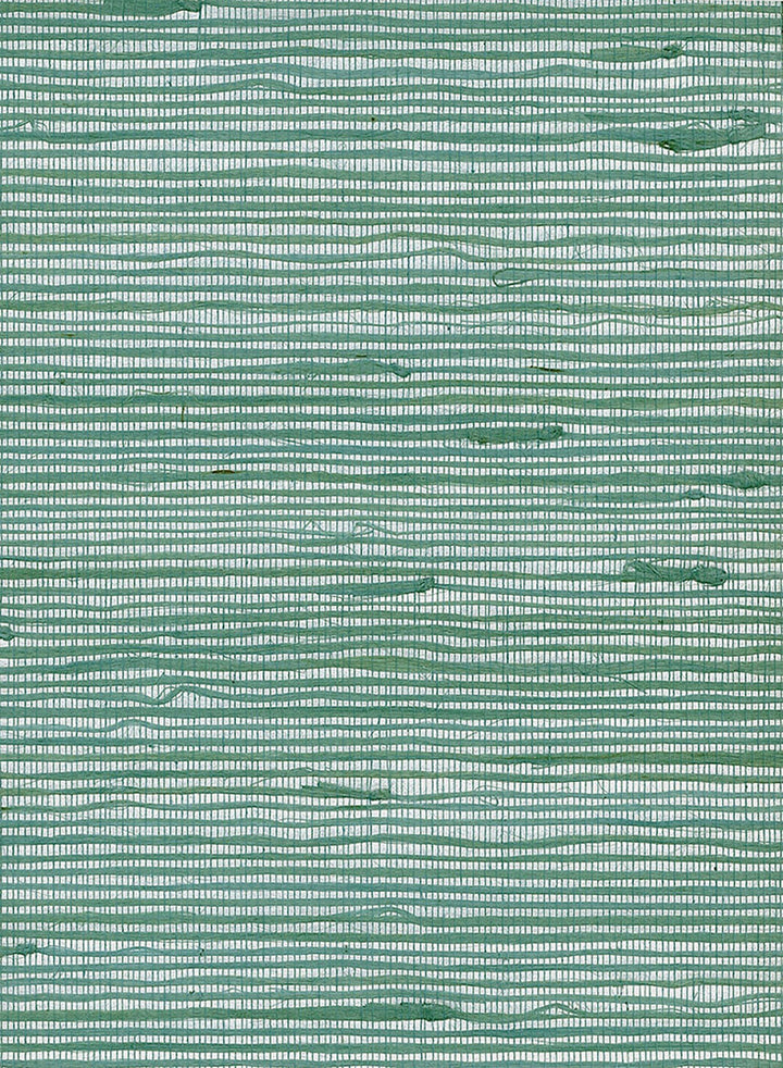 Jute Green by Seabrook Wallpaper Natural Resource China 72 0" 36" - Fabric Carolina -