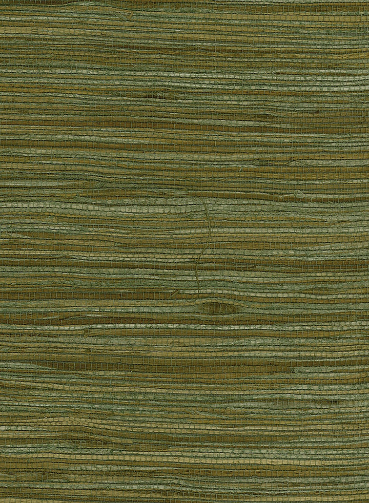 Water Hyancinth Green, Tan by Seabrook Wallpaper Natural Resource China 72 0" 36" - Fabric Carolina -