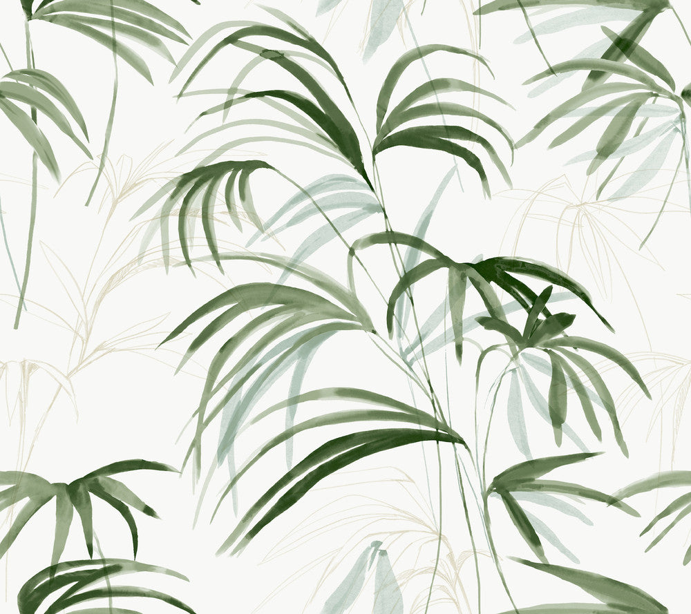 Inky Green Palms Wallpaper by Candice Olson Natural Discovery Covers about 60.8 square feet 27-in by 27-ft long roll Unpasted 24 - Fabric Carolina -