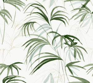Inky Green Palms Wallpaper by Candice Olson