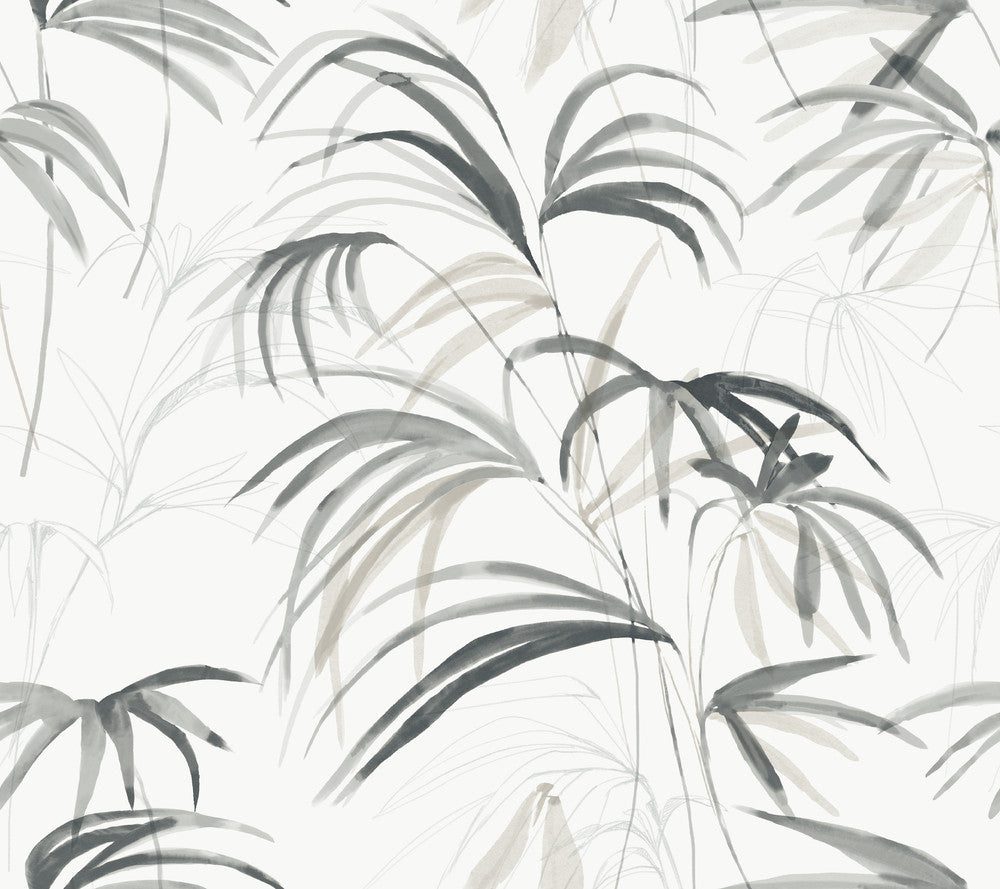 Inky Black Palms Wallpaper by Candice Olson Natural Discovery Covers about 60.8 square feet 27-in by 27-ft long roll Unpasted 24 - Fabric Carolina -