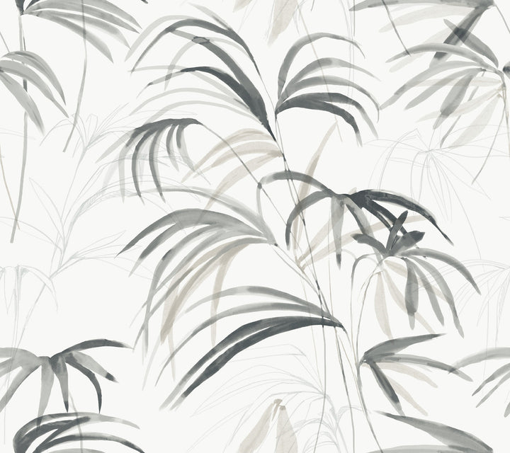 Inky Black Palms Wallpaper by Candice Olson Natural Discovery Covers about 60.8 square feet 27-in by 27-ft long roll Unpasted 24 - Fabric Carolina -