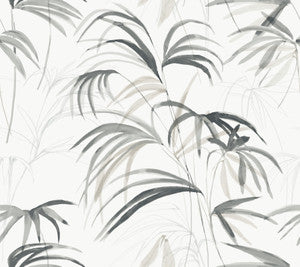 Inky Black Palms Wallpaper by Candice Olson
