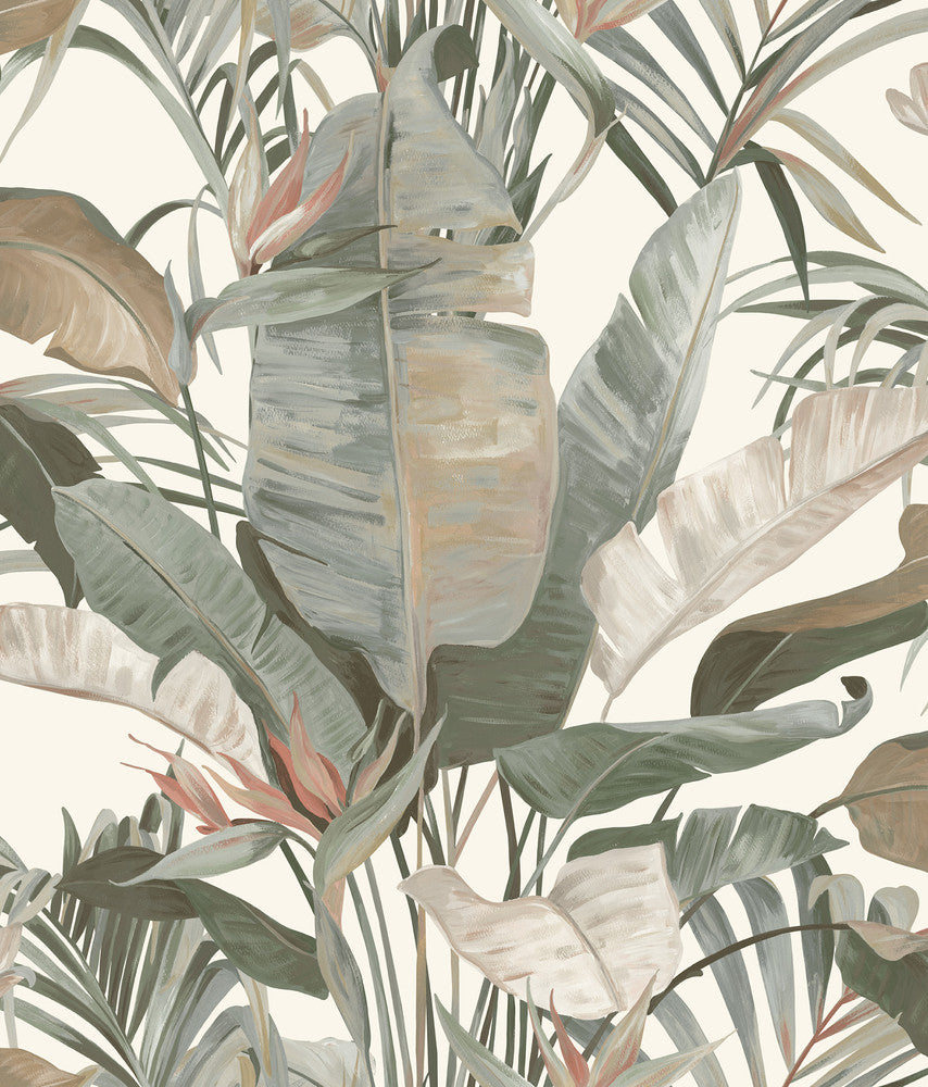 Tropical White Cabana Wallpaper by Candice Olson Natural Discovery Covers about 56.4 square feet 20.5-in by 33-ft long roll Unpasted 24 - Fabric Carolina -