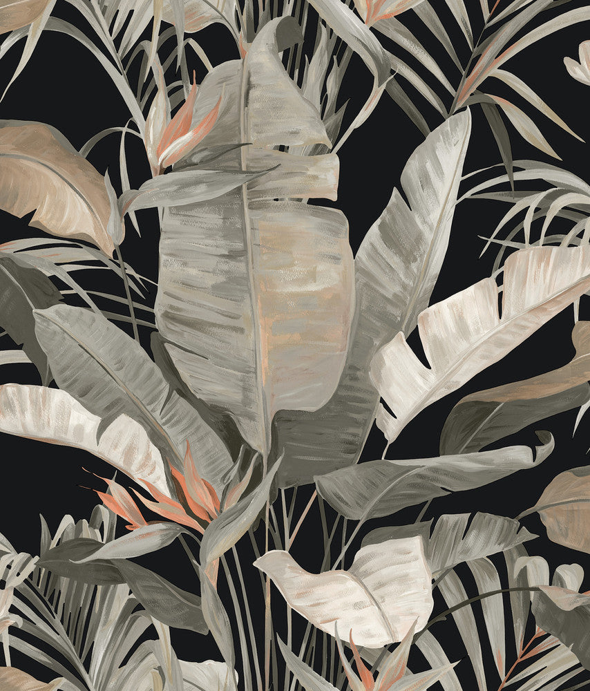 Tropical Black Cabana Wallpaper by Candice Olson Natural Discovery Covers about 56.4 square feet 20.5-in by 33-ft long roll Unpasted 24 - Fabric Carolina -