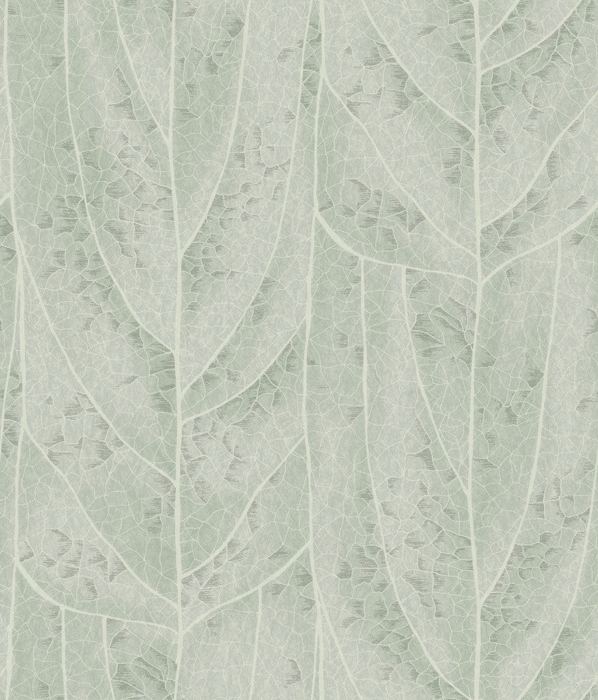 Dicot Spa Leaf Wallpaper by Candice Olson Natural Discovery Covers about 56.4 square feet 20.5-in by 33-ft long roll Unpasted 24 - Fabric Carolina -