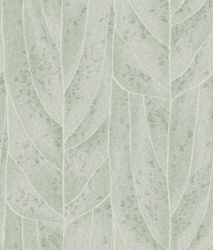 Dicot Spa Leaf Wallpaper by Candice Olson Natural Discovery Covers about 56.4 square feet 20.5-in by 33-ft long roll Unpasted 24 - Fabric Carolina -