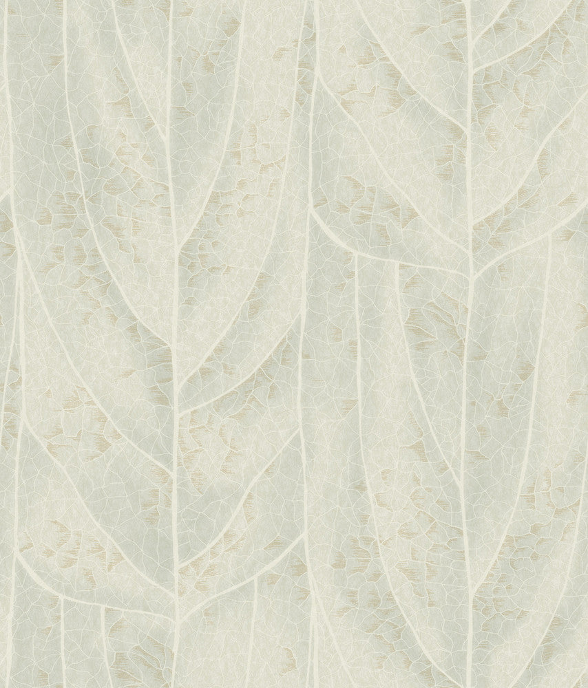 Dicot Light Green Leaf Wallpaper by Candice Olson Natural Discovery Covers about 56.4 square feet 20.5-in by 33-ft long roll Unpasted 24 - Fabric Carolina -