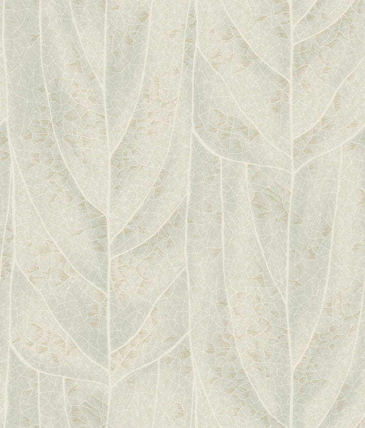 Dicot Light Green Leaf Wallpaper by Candice Olson Natural Discovery Covers about 56.4 square feet 20.5-in by 33-ft long roll Unpasted 24 - Fabric Carolina -