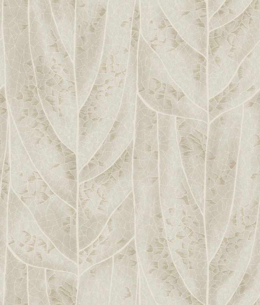 Dicot Beige Leaf Wallpaper by Candice Olson Natural Discovery Covers about 56.4 square feet 20.5-in by 33-ft long roll Unpasted 24 - Fabric Carolina -