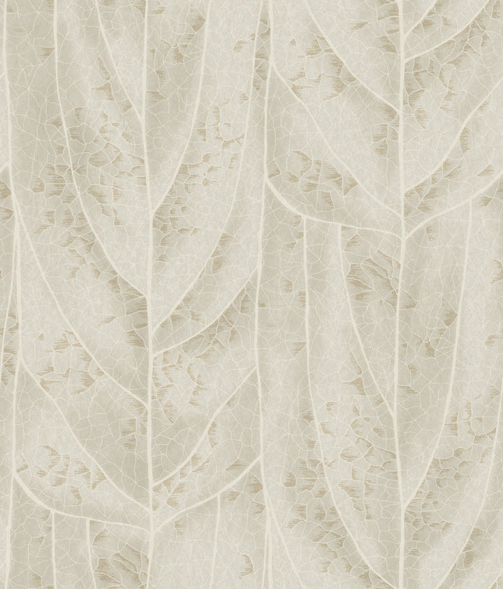 Dicot Beige Leaf Wallpaper by Candice Olson Natural Discovery Covers about 56.4 square feet 20.5-in by 33-ft long roll Unpasted 24 - Fabric Carolina -