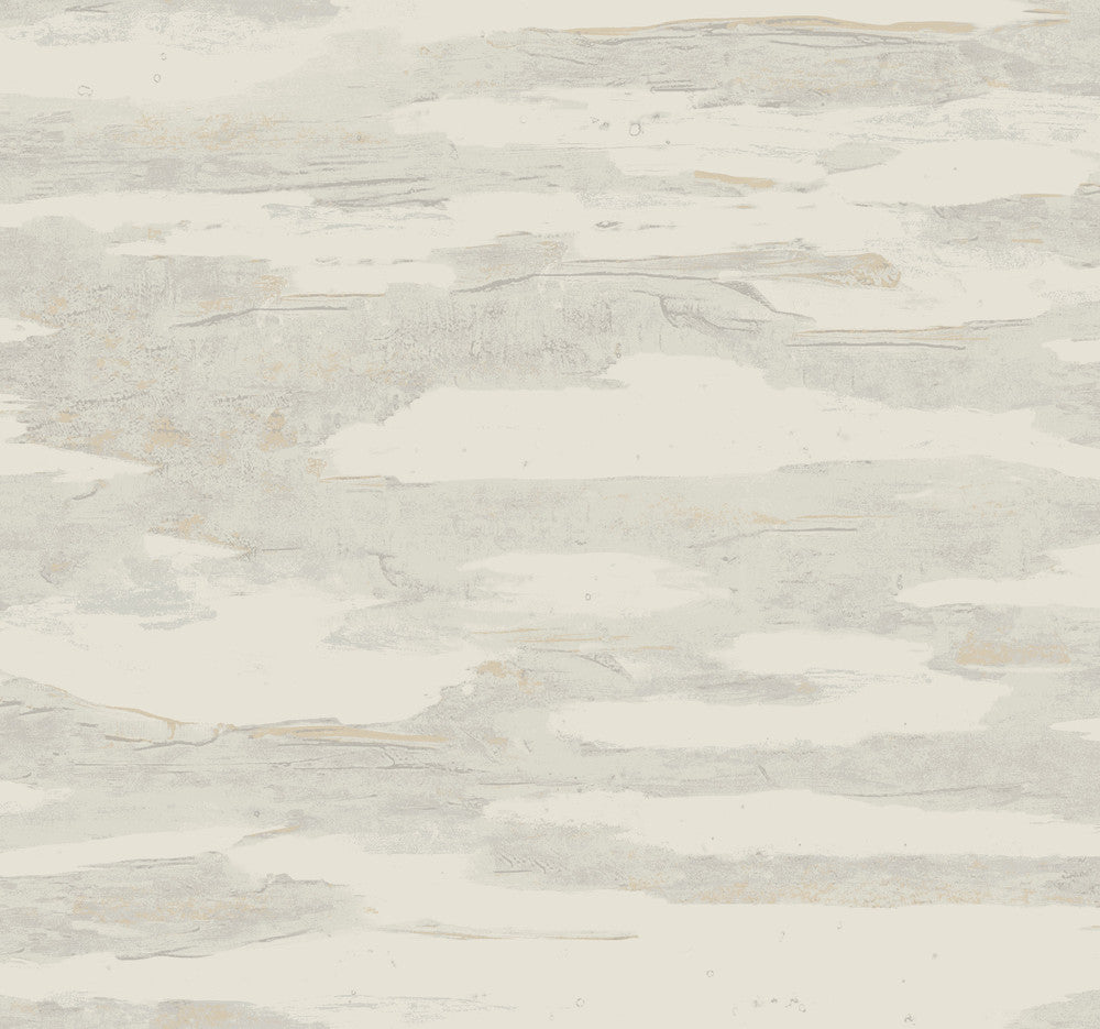 Artistic Desert Tides Wallpaper by Candice Olson Natural Discovery Covers about 60.8 square feet 27-in by 27-ft long roll Unpasted 25.25 - Fabric Carolina -