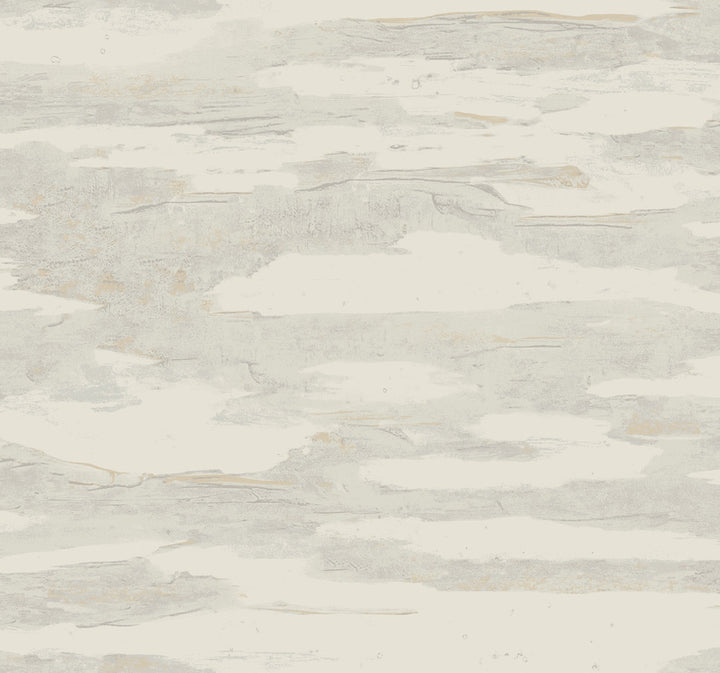 Artistic Desert Tides Wallpaper by Candice Olson Natural Discovery Covers about 60.8 square feet 27-in by 27-ft long roll Unpasted 25.25 - Fabric Carolina -