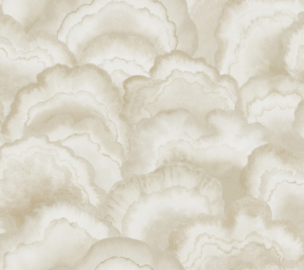 Abalone Sand Fans Wallpaper by Candice Olson Natural Discovery Covers about 60.8 square feet 27-in by 27-ft long roll Unpasted 24 - Fabric Carolina -