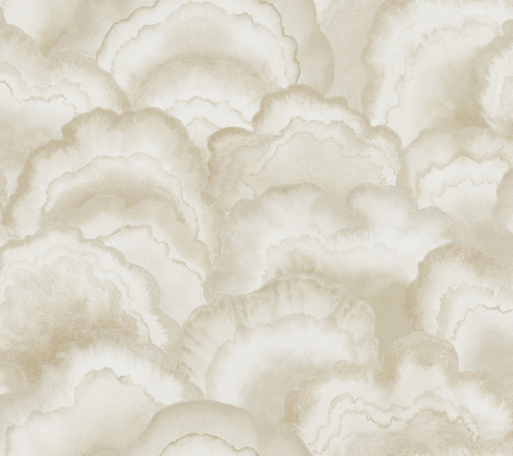 Abalone Sand Fans Wallpaper by Candice Olson Natural Discovery Covers about 60.8 square feet 27-in by 27-ft long roll Unpasted 24 - Fabric Carolina -