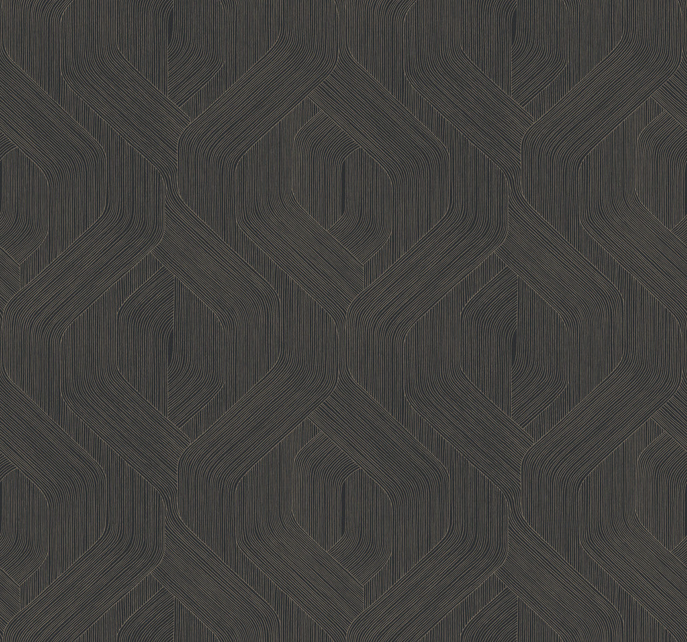 Fine Line Black Geometric Wallpaper by Candice Olson Natural Discovery Covers about 60.8 square feet 27-in by 27-ft long roll Unpasted 25.25 - Fabric Carolina -