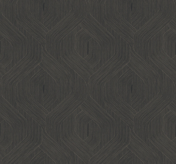 Fine Line Black Geometric Wallpaper by Candice Olson Natural Discovery Covers about 60.8 square feet 27-in by 27-ft long roll Unpasted 25.25 - Fabric Carolina -