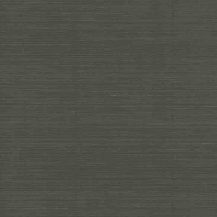 Quiet Vista Ebony Wallpaper by Candice Olson Natural Discovery Covers about 60.8 square feet 27-in by 27-ft long roll Unpasted 0 - Fabric Carolina -
