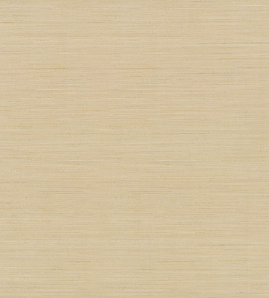 Quiet Vista Desert Wallpaper by Candice Olson Natural Discovery Covers about 60.8 square feet 27-in by 27-ft long roll Unpasted 0 - Fabric Carolina -