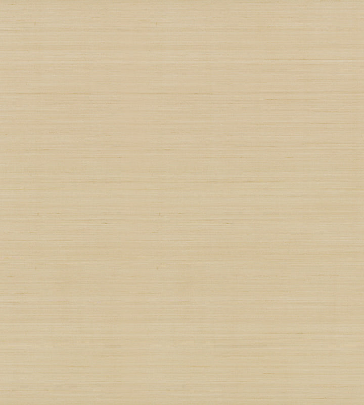 Quiet Vista Desert Wallpaper by Candice Olson Natural Discovery Covers about 60.8 square feet 27-in by 27-ft long roll Unpasted 0 - Fabric Carolina -