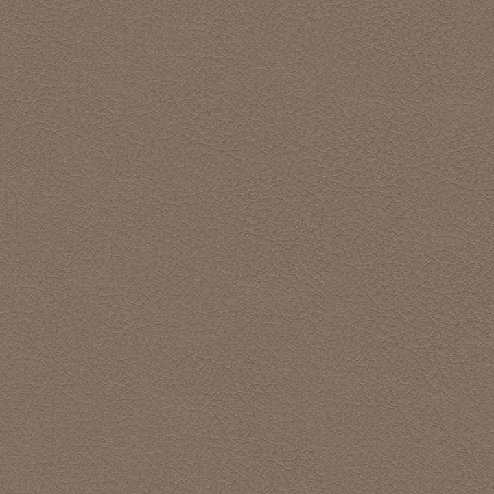 Nuance 2453 Sandstone by Softside Fabric 100% Polyvinyl Chloride (PVC) Costa Rica 100,000 Double Rubs (Wyzenbeek) </p><p>Repeat: Horizontal: and Vertical: 54" (137 cm) - Fabric Carolina -