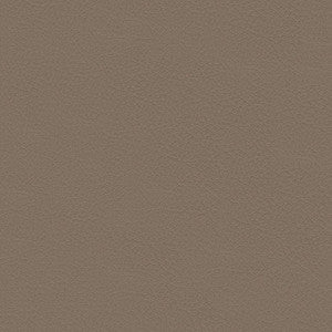 Nuance 2453 Sandstone by Softside Fabric