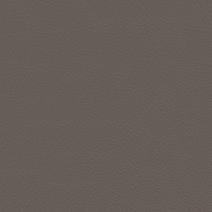 Nuance 2454 Fawn by Softside Fabric 100% Polyvinyl Chloride (PVC) Costa Rica 100,000 Double Rubs (Wyzenbeek) </p><p>Repeat: Horizontal: and Vertical: 54" (137 cm) - Fabric Carolina -