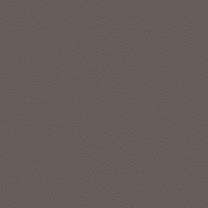 Nuance 2454 Fawn by Softside Fabric