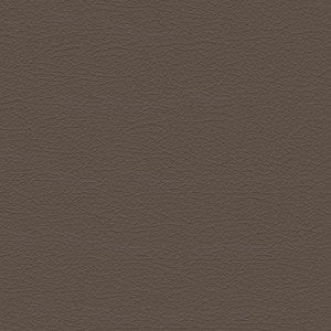 Nuance 2463 Medium Neutral by Softside Fabric