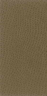 Nuostrich-106 by Kravet Basics Fabric - NYLON - 100% Japan HEAVY Horizontal: 0 and Vertical: 0 54 - Fabric Carolina -