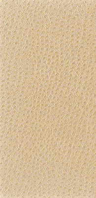 Nuostrich Putty by Kravet Basics Fabric Kravet Basics Fabric Nuostrich PuttyFabric NYLON - 100% Japan </p><p>Repeat: H: 0, V: 0 54 - Fabric Carolina -