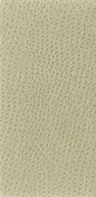 Kravet Basics Nuostrich-116 by Kravet Basics Fabric Kravet Basics Fabric Kravet Basics Nuostrich-116Fabric NYLON - 100% Japan </p><p>Repeat: H: 0, V: 0 54 - Fabric Carolina -